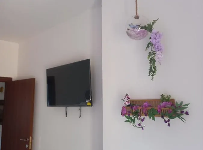 Le Stanze Di Bimba Pensión Terni